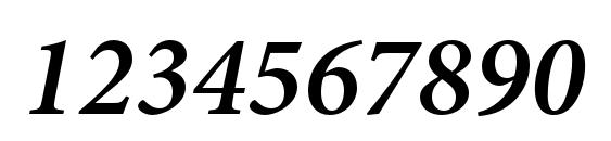 MinionPro SemiboldIt Font, Number Fonts