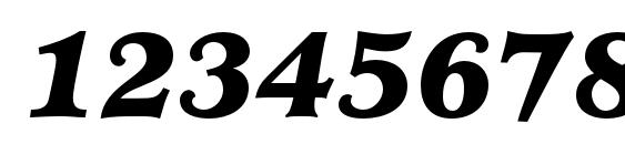 MinisterStd BlackItalic Font, Number Fonts