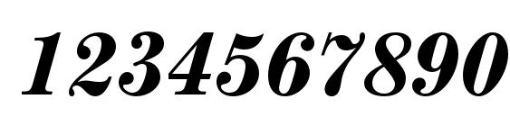 ModernMTStd BoldItalic Font, Number Fonts
