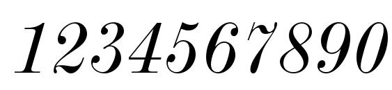 ModernMTStd ExtendedItalic Font, Number Fonts