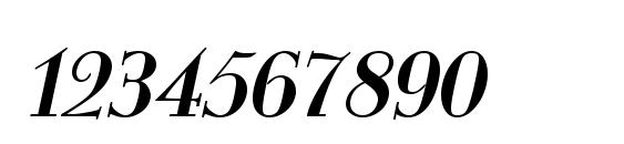 Monarch Italic Font, Number Fonts