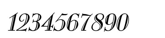 MonarchEngraved Italic Font, Number Fonts