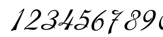 Montague Regular Font, Number Fonts