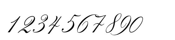 Mozart Font, Number Fonts