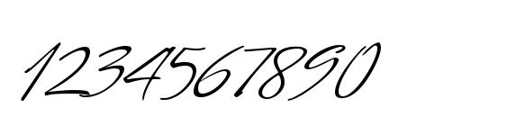 Mr Canfields Font, Number Fonts