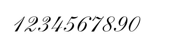 NARVIK Regular Font, Number Fonts