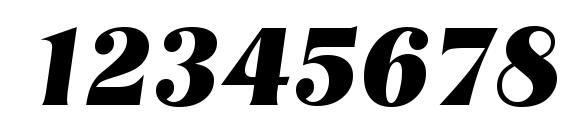 NashvilleSerial Xbold Italic Font, Number Fonts