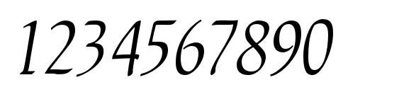 Nataliscriptc Font, Number Fonts