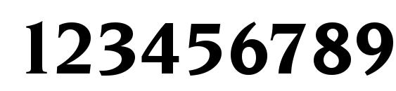 Navarro Bold Font, Number Fonts