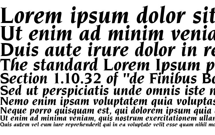 specimens Navarro BoldItalic font, sample Navarro BoldItalic font, an example of writing Navarro BoldItalic font, review Navarro BoldItalic font, preview Navarro BoldItalic font, Navarro BoldItalic font