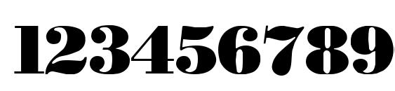 Necblack Font, Number Fonts