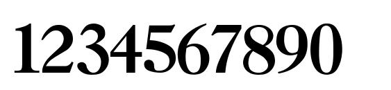 Nelsie Bold Font, Number Fonts