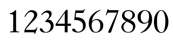 Nelsie Normal Font, Number Fonts