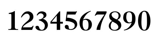 Nelsie Thin Font, Number Fonts