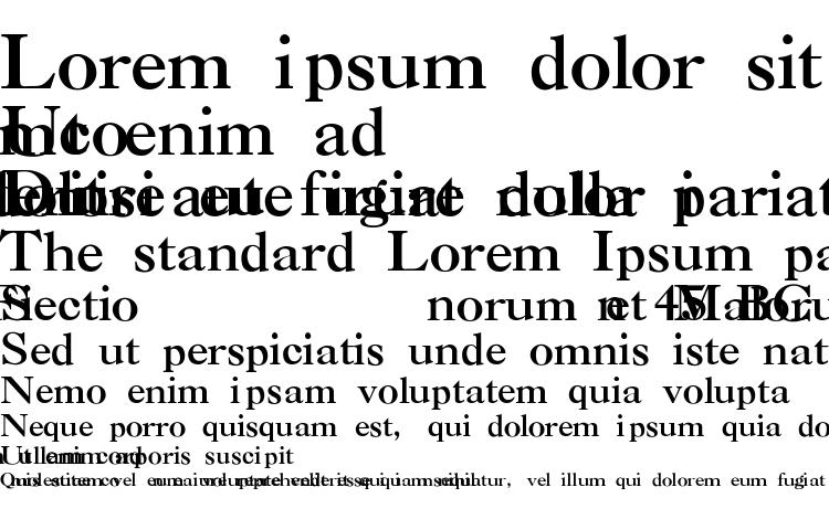 specimens Nelsie Thin font, sample Nelsie Thin font, an example of writing Nelsie Thin font, review Nelsie Thin font, preview Nelsie Thin font, Nelsie Thin font