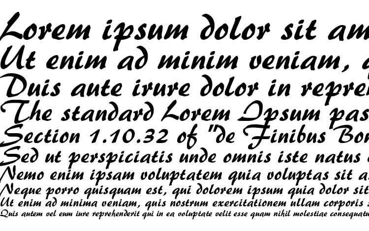 specimens Nestor bold font, sample Nestor bold font, an example of writing Nestor bold font, review Nestor bold font, preview Nestor bold font, Nestor bold font