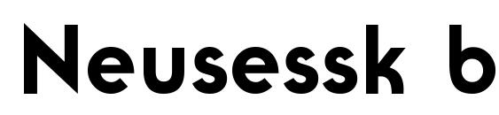 Neusessk bold font, free Neusessk bold font, preview Neusessk bold font
