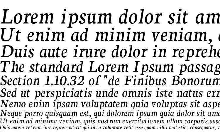 specimens Neuton Alt Italic font, sample Neuton Alt Italic font, an example of writing Neuton Alt Italic font, review Neuton Alt Italic font, preview Neuton Alt Italic font, Neuton Alt Italic font