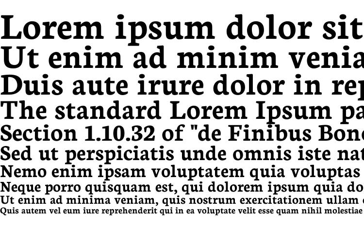 specimens Neuton Bold font, sample Neuton Bold font, an example of writing Neuton Bold font, review Neuton Bold font, preview Neuton Bold font, Neuton Bold font