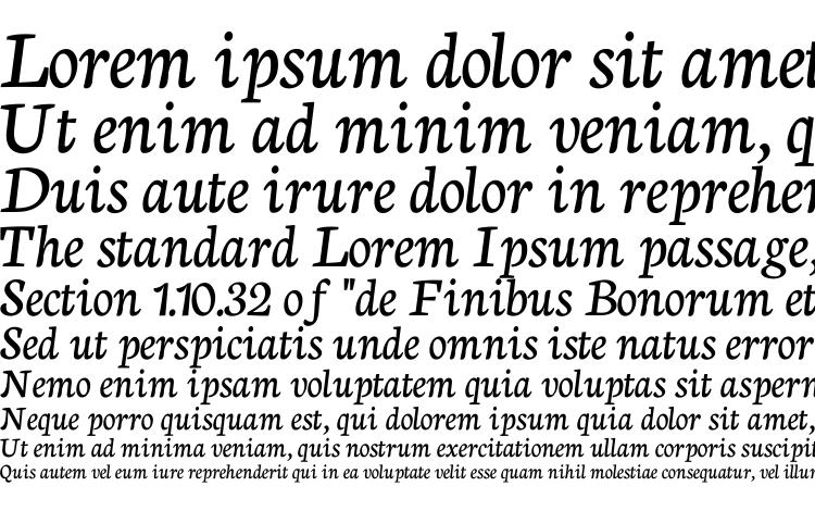 specimens Neuton Cursive font, sample Neuton Cursive font, an example of writing Neuton Cursive font, review Neuton Cursive font, preview Neuton Cursive font, Neuton Cursive font