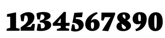 Neuton Extrabold Font, Number Fonts