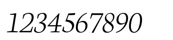 Neuton Extralight Italic Font, Number Fonts