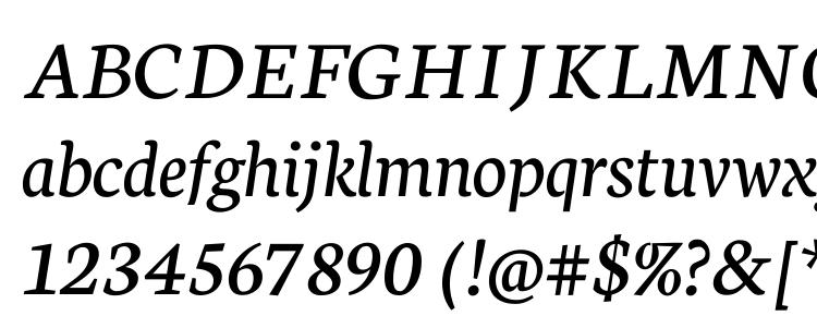 glyphs Neuton Italic font, сharacters Neuton Italic font, symbols Neuton Italic font, character map Neuton Italic font, preview Neuton Italic font, abc Neuton Italic font, Neuton Italic font