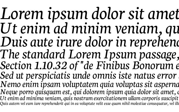 specimens Neuton Italic font, sample Neuton Italic font, an example of writing Neuton Italic font, review Neuton Italic font, preview Neuton Italic font, Neuton Italic font