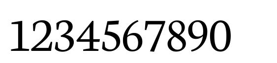 Neuton Light Font, Number Fonts