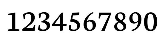 Neuton Regular Font, Number Fonts
