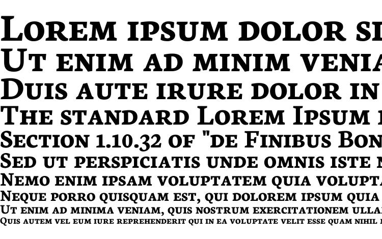 specimens Neuton SC Bold font, sample Neuton SC Bold font, an example of writing Neuton SC Bold font, review Neuton SC Bold font, preview Neuton SC Bold font, Neuton SC Bold font