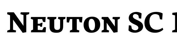 Neuton SC Bold font, free Neuton SC Bold font, preview Neuton SC Bold font