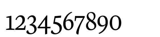 Neuton SC Light Font, Number Fonts