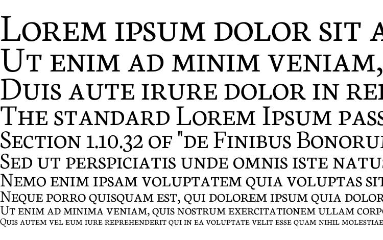 specimens Neuton SC Light font, sample Neuton SC Light font, an example of writing Neuton SC Light font, review Neuton SC Light font, preview Neuton SC Light font, Neuton SC Light font
