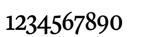 Neuton SC Regular Font, Number Fonts