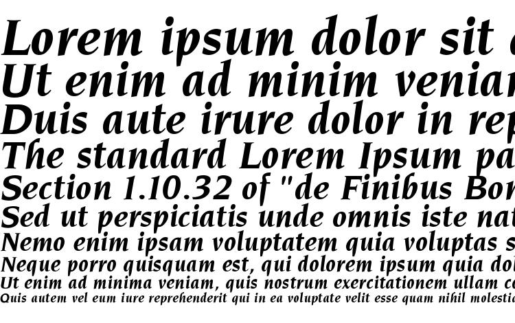 specimens Neuvarese BoldItalic font, sample Neuvarese BoldItalic font, an example of writing Neuvarese BoldItalic font, review Neuvarese BoldItalic font, preview Neuvarese BoldItalic font, Neuvarese BoldItalic font