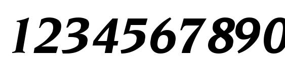 Neuvarese Regular Font, Number Fonts