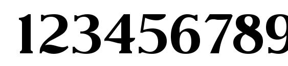 Nevada Serial Bold DB Font, Number Fonts