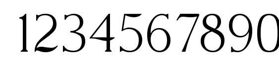 Nevada xlight Font, Number Fonts