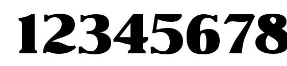 NevadaSerial Heavy Regular Font, Number Fonts