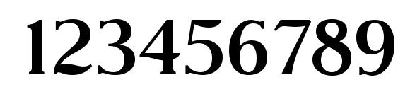 NevadaSerial Medium Regular Font, Number Fonts