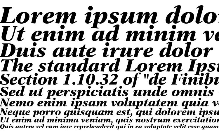 specimens New Aster LT Black Italic font, sample New Aster LT Black Italic font, an example of writing New Aster LT Black Italic font, review New Aster LT Black Italic font, preview New Aster LT Black Italic font, New Aster LT Black Italic font