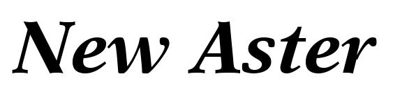 New Aster LT Bold Italic Font