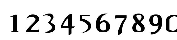 New calligraph Font, Number Fonts