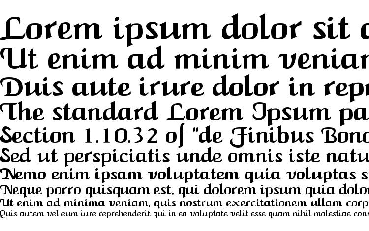 specimens New calligraph font, sample New calligraph font, an example of writing New calligraph font, review New calligraph font, preview New calligraph font, New calligraph font