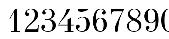 New Standard Unicode Font, Number Fonts