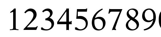 NewAsterLTStd Font, Number Fonts