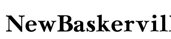 NewBaskerville Cyrillic Bold Font