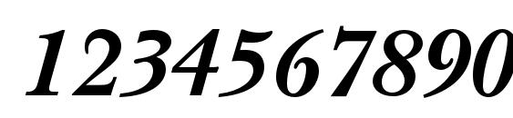 NewBaskervilleC BoldItalic Font, Number Fonts