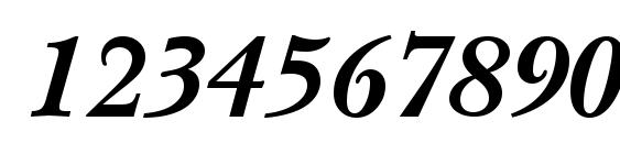 NewBaskervilleCTT BoldItalic Font, Number Fonts
